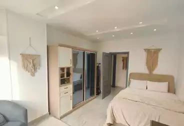 شقق فندقية للإيجار - 3 غرف - بالدور 2