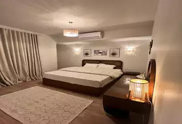 Furnished Apartment For rent - 2 rooms - floor 3