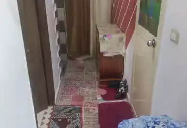 شقق للبيع - 3 غرف - بالدور 2