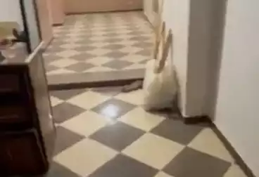 undefined undefined - 2 rooms - floor 1