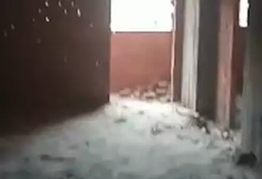 عقارات للبيع - 2 غرف - بالدور 5