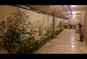 Apartment with Garden For rent - 2 rooms - floor 0