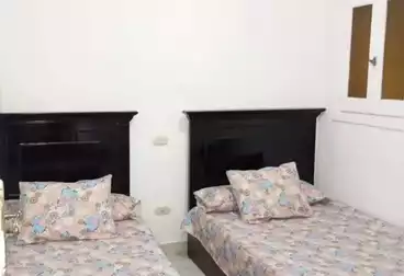 Furnished Apartment For rent - 2 rooms - floor 3