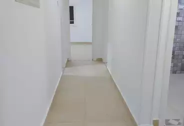 Apartments For rent - 3 rooms - floor 1