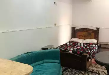 ستوديو للإيجار - 1 غرف - بالدور 0