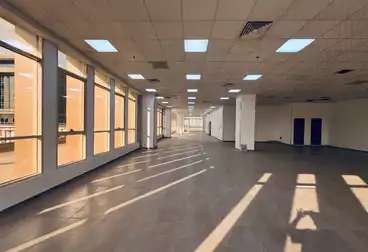 Properties For rent - 1 rooms