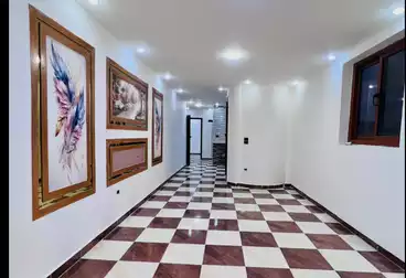 شقق للإيجار - 2 غرف - بالدور 6