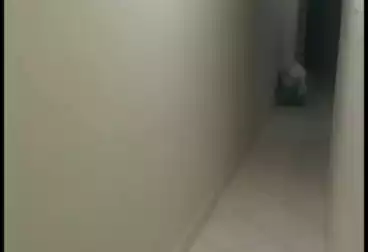 undefined undefined - 2 rooms - floor 8