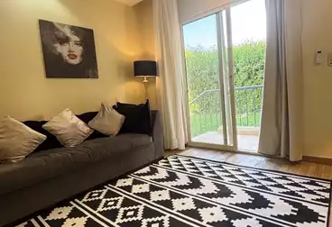 Serviced Apartments For rent - 2 rooms - floor 1