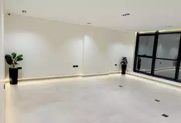 Offices For rent - 3 rooms - floor 2