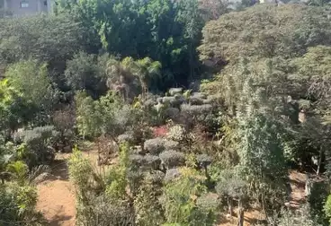 أرض تجارية للبيع