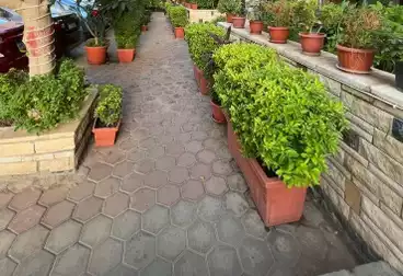 Apartments For rent - 3 rooms - floor 1