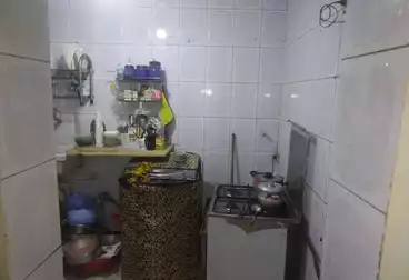 شقق للبيع - 2 غرف - بالدور 1