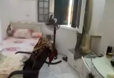 شقق للبيع - 3 غرف - بالدور 9