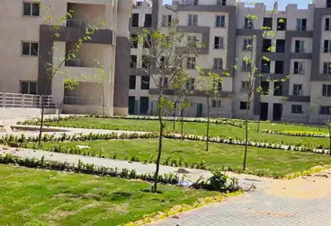 Apartments For sale - 3 rooms - floor 1