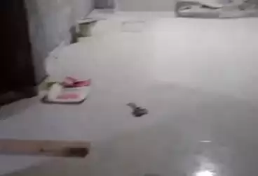 Private For sale - 3 rooms