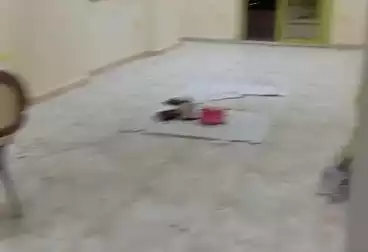 Apartments For rent - 3 rooms - floor 8