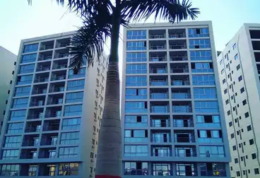 مكاتب للإيجار - 12 غرف - بالدور 8