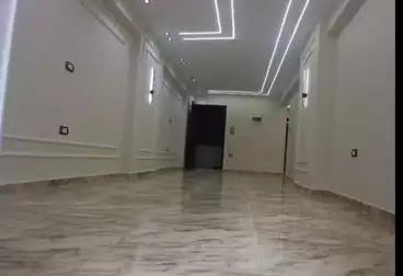 undefined undefined - 3 rooms - floor 1