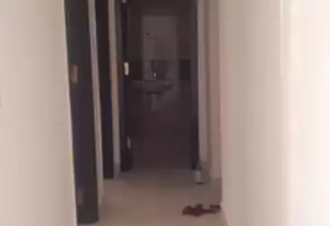 عقارات للإيجار - 2 غرف - بالدور 11