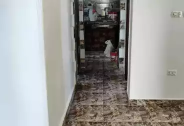 شقق للبيع - 3 غرف - بالدور 7