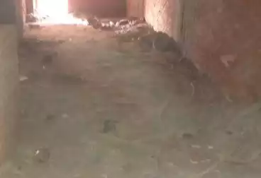 undefined undefined - 3 rooms - floor 4