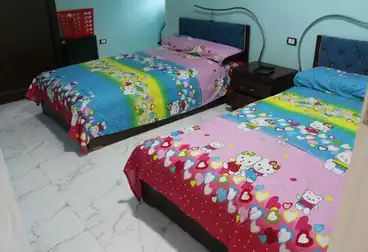 شقق مفروشة للإيجار - 3 غرف - بالدور 5