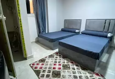 Apartments For rent - 1 rooms - floor 3