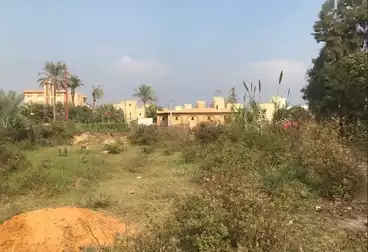 أرض مباني سكنية للبيع