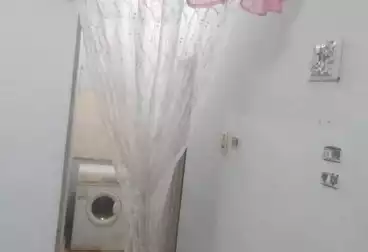 عقارات للإيجار - 2 غرف - بالدور 0