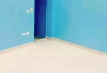 شقق للبيع - 3 غرف - بالدور 7