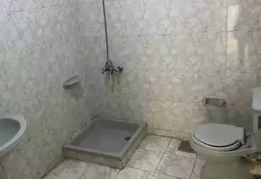 شقق للبيع - 2 غرف - بالدور 1