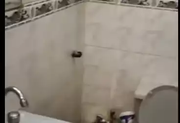 undefined undefined - 3 rooms - floor 1