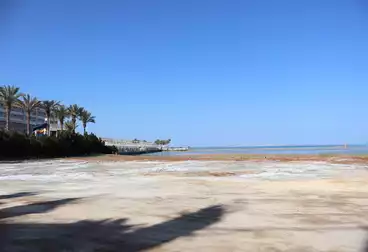 Apartments For sale - 2 rooms - floor 1