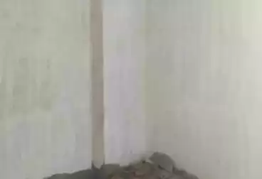 Apartments For sale - 3 rooms - floor 11