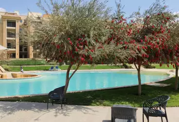 شقق مفروشة للإيجار - 4 غرف - بالدور 0