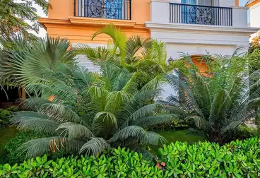 فلل للبيع - 5 غرف