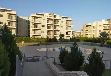 شقق للإيجار