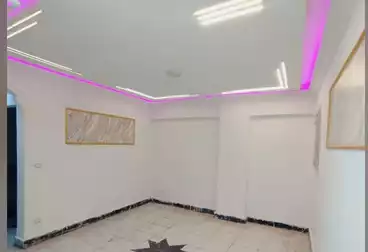 undefined undefined - 3 rooms - floor 1