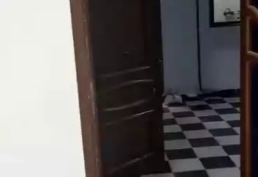 شقق للإيجار - 2 غرف