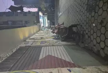 undefined undefined - بالدور 0