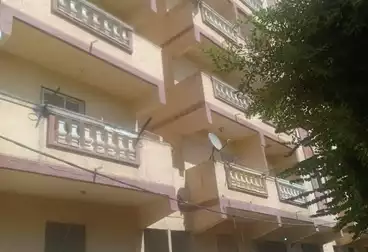 عقارات للإيجار - 2 غرف - بالدور 1