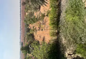 أراضي للبيع