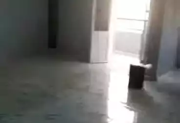 Apartments For rent - 2 rooms - floor 5