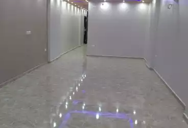 undefined undefined - 3 rooms - floor 12