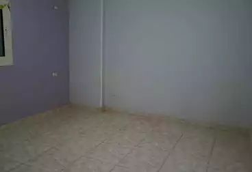 شقق للإيجار - 3 غرف - بالدور 5