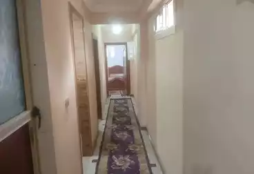 undefined undefined - 2 rooms - floor 7