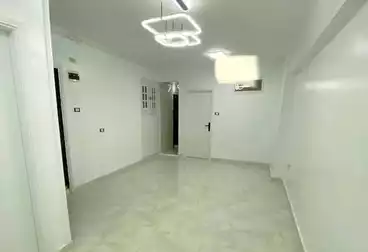 undefined undefined - 2 غرف - بالدور 1