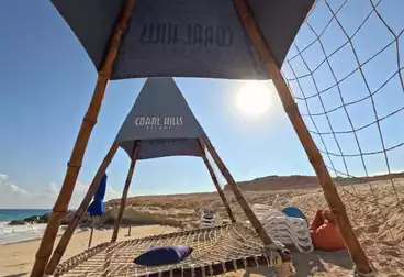 عقارات للبيع - 2 غرف - بالدور 0