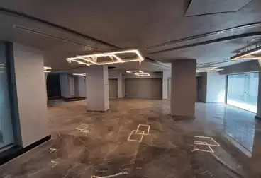 Properties For sale - 11 rooms